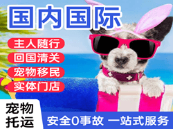 丹东浪头机场空运国际宠物托运 【国